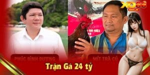 trận gà 24tỷ - ảnh đại diện