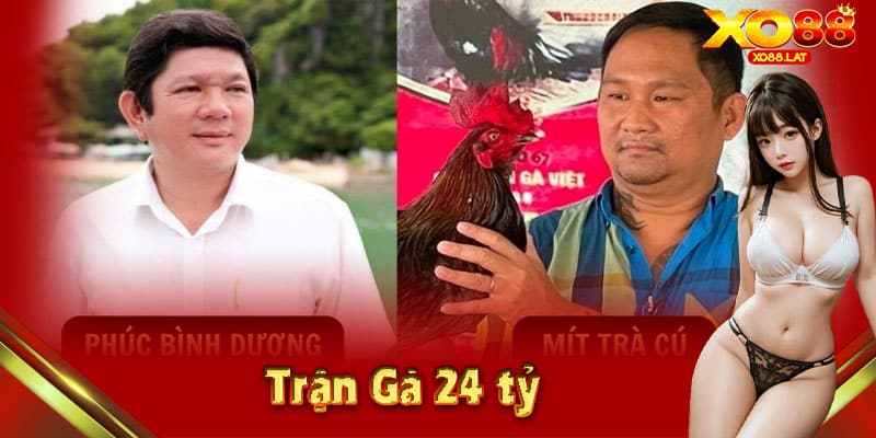 trận gà 24tỷ - ảnh đại diện